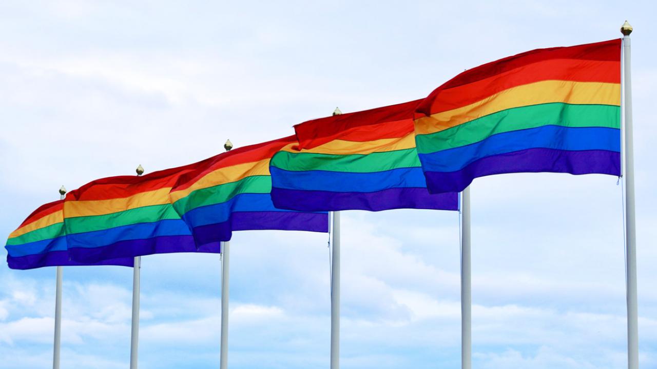 A row of pride flags waving in the wind