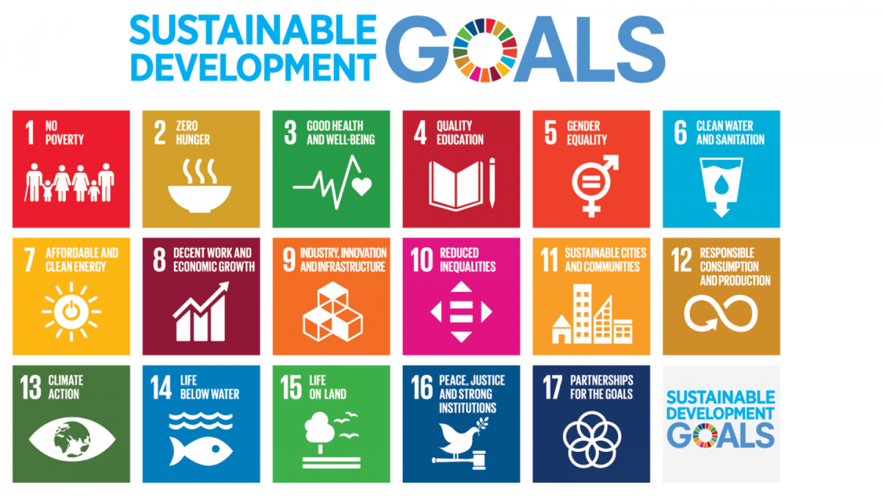 The Sustainable Development Goals of the United Nations Agenda 2030