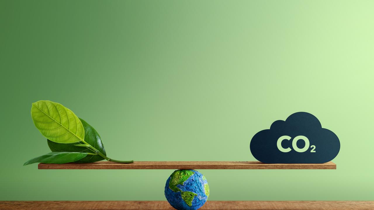Illustration of a board with a stem and a CO2 cloud balancing on the planet Earth.