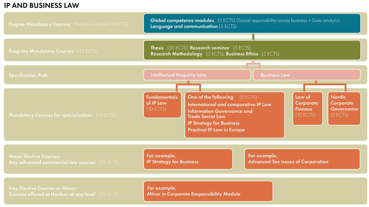 IP Business Law Programme Structure