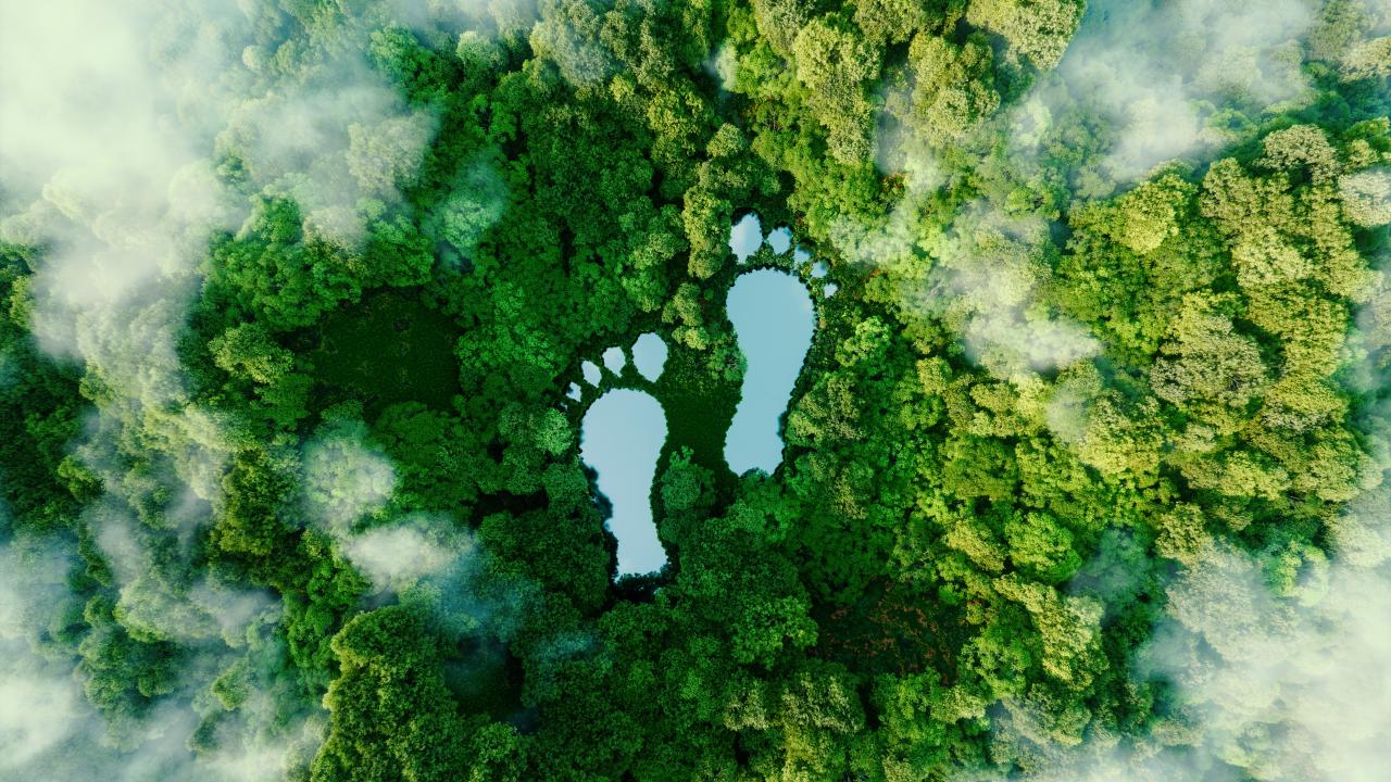 Feet shaped water element in the middle of forest