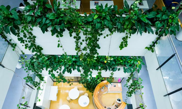 Green Office 