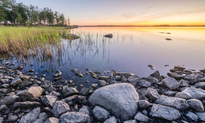 Solnedgång vid en stenig strand