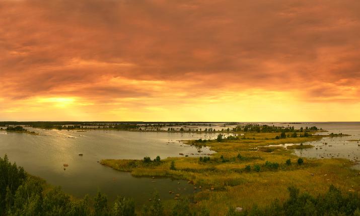 Svedjehamn