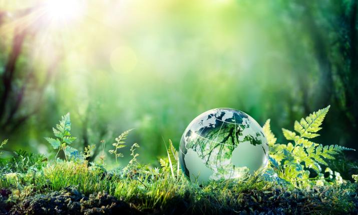 A globe laying on the ground in a forest