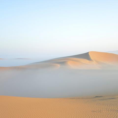 Desert fog