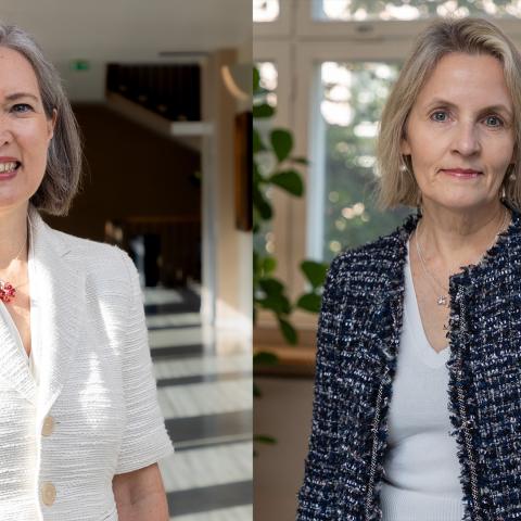 Nicola Lindertz Johanna Karanko i Hankens korridorer
