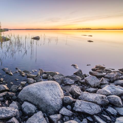 Solnedgång vid en stenig strand