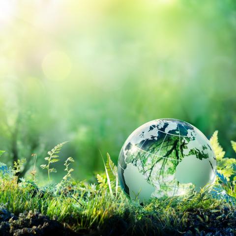Planet Earth laying on green ground