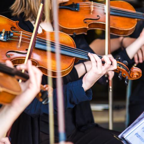 People playing violins in an orchestra
