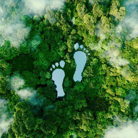 Feet shaped water element in the middle of forest
