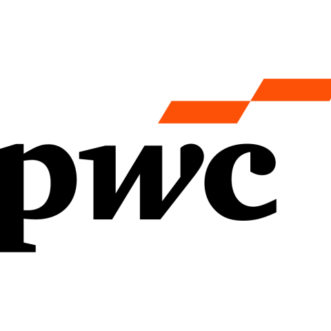 PWC ny logo 2025