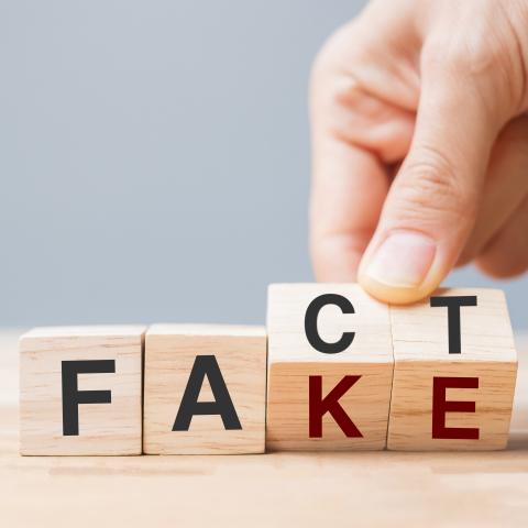 The text fact that turns into fake